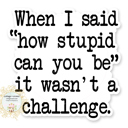When I Said How Stupid Can You Be It Wasn't A Challenge Stocking Stuffer Vinyl Decal Fun Custom Decal Waterproof Stickers