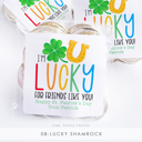  St. Patrick's Day Stickers | Personalized Classroom Party Stickers