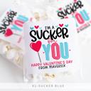  Personalized Valentine's Day Party Stickers with Treat Bags Valentine's Labels  | Set of 24