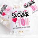  Personalized Valentine's Day Party Stickers with Treat Bags Valentine's Labels  | Set of 24