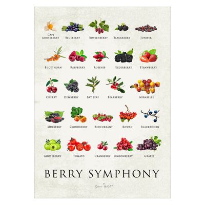Simon Holst - Berry Symphony  Poster without frame