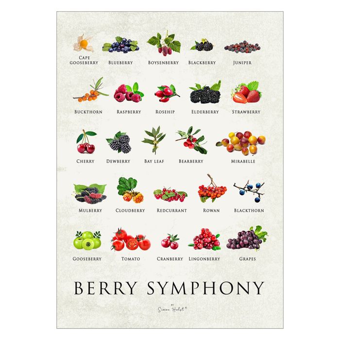 Simon Holst - Berry Symphony  Poster without frame