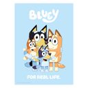11.8 x 15.7 inches Bluey - Family For Real Life  Poster without frame