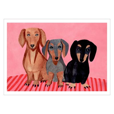 Iga Kosicka - Dachshunds  Poster  without frame