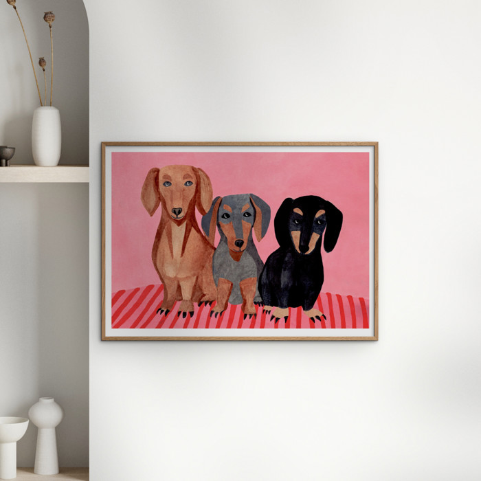Iga Kosicka - Dachshunds  Poster  without frame