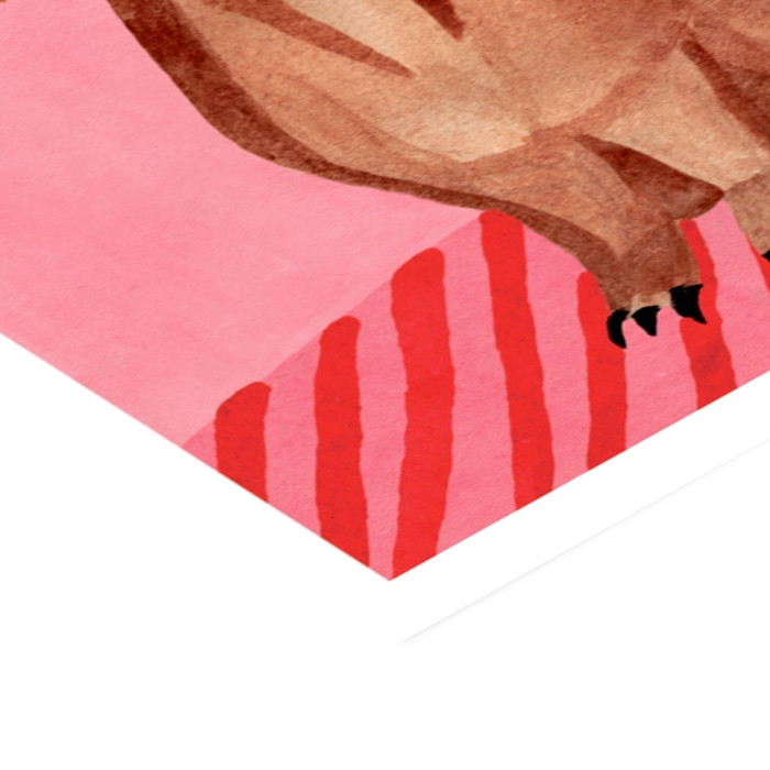 Iga Kosicka - Dachshunds  Poster  without frame
