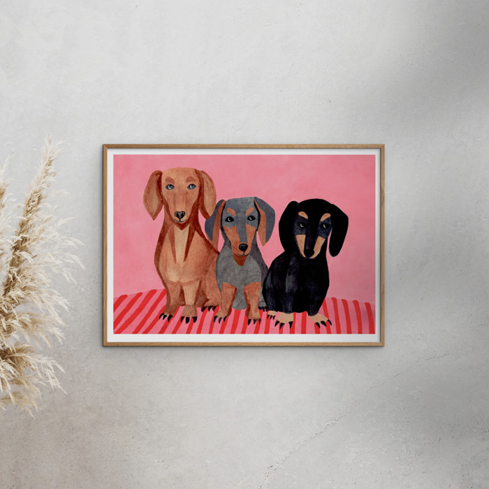 Iga Kosicka - Dachshunds  Poster  without frame