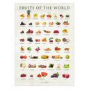 11.8 x 15.7 inches Simon Holst - Fruits of the world  Poster  without frame
