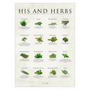 11.8 x 15.7 inches Simon Holst - His and herbs  Poster  without frame