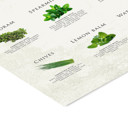 11.8 x 15.7 inches Simon Holst - His and herbs  Poster  without frame