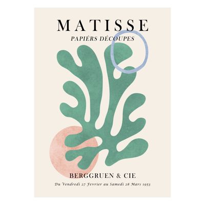 Vitor Costa - Matisse floral Poster 6  Poster  without frame