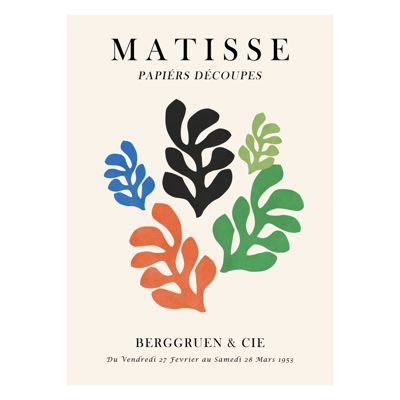 Vitor Costa - Matisse floral Poster 7  Poster  without frame