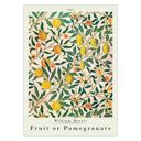 19.7 x 27.6 inches William Morris - Pomegranate  Poster  without frame