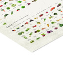 19.7 x 27.6 inches Simon Holst - Seasonal fruits and vegetables  Poster  without frame
