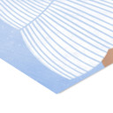  Bea Muller - The Woman with the Blue Stripes  Poster  without frame