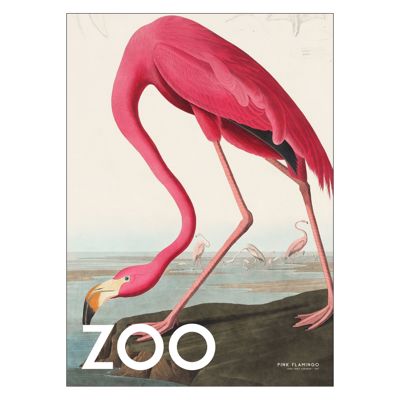 A.P. Atelier - The Zoo Collection — Pink Flamingo — Edt. 002  Poster  without frame