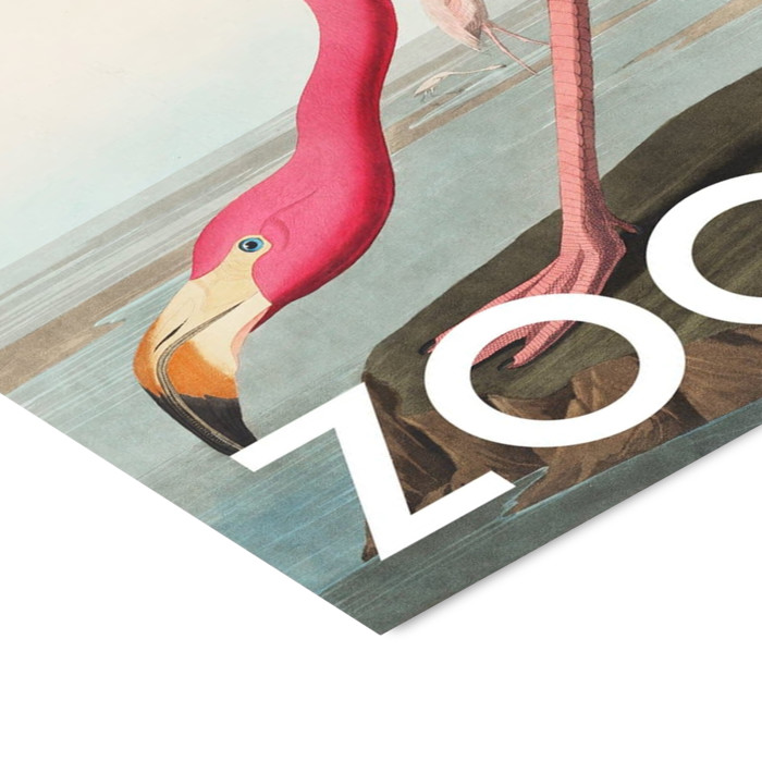 A.P. Atelier - The Zoo Collection — Pink Flamingo — Edt. 002  Poster  without frame