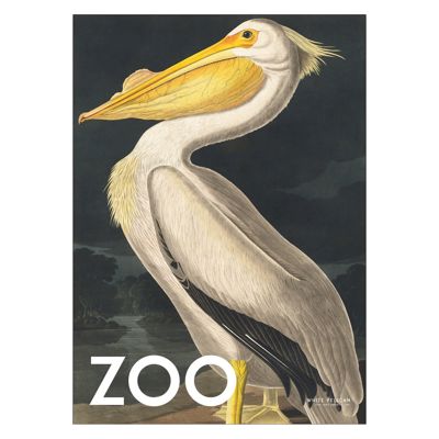 A.P. Atelier - The Zoo Collection — White Pelican — Edt. 002  Poster  without frame