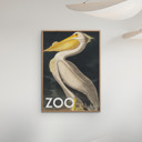 11.8 x 15.7 inches A.P. Atelier - The Zoo Collection — White Pelican — Edt. 002  Poster  without frame