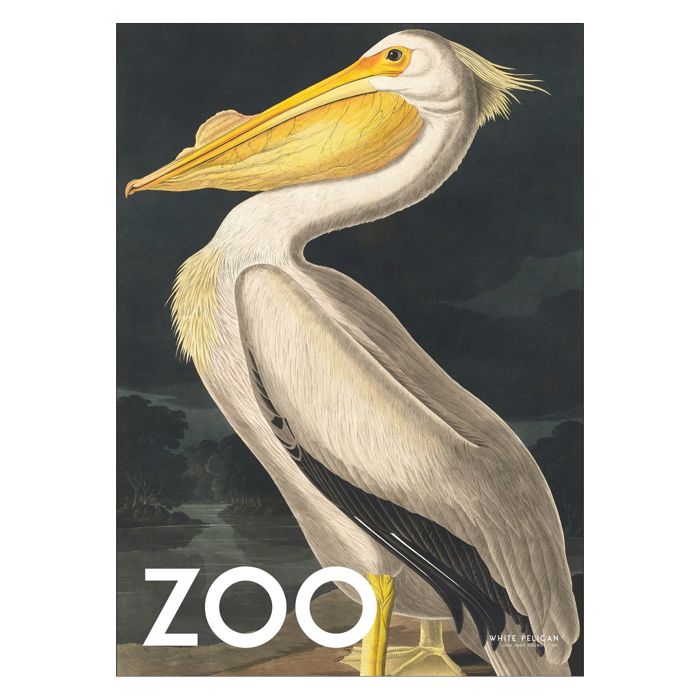 A.P. Atelier - The Zoo Collection — White Pelican — Edt. 002  Poster  without frame