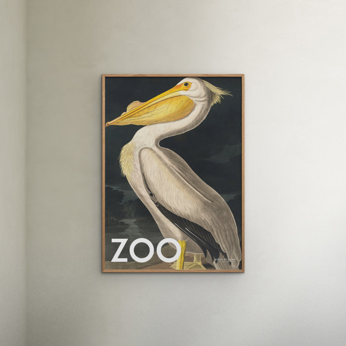 A.P. Atelier - The Zoo Collection — White Pelican — Edt. 002  Poster  without frame