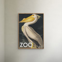 19.7 x 27.6 inches A.P. Atelier - The Zoo Collection — White Pelican — Edt. 002  Poster  without frame