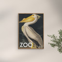 27.6 x 39.4 inches A.P. Atelier - The Zoo Collection — White Pelican — Edt. 002  Poster  without frame