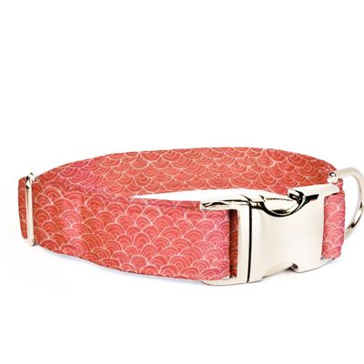Adjustable Dog Collar - Fall or Halloween - FREE SHIPPING