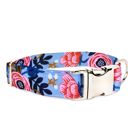  Adjustable Dog Collar - Blue Floral - FREE SHIPPING