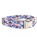  Dog Collar - Rosa Perwinkle Floral - FREE SHIPPING
