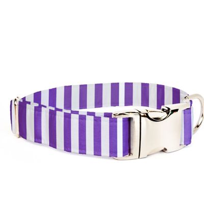 Adjustable Dog Collar  - Purple Stripe - FREE SHIPPING
