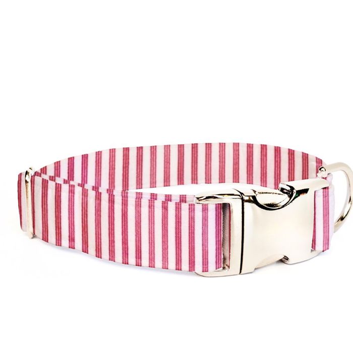 Adjustable Dog Collar - Red Ticking - FREE SHIPPING