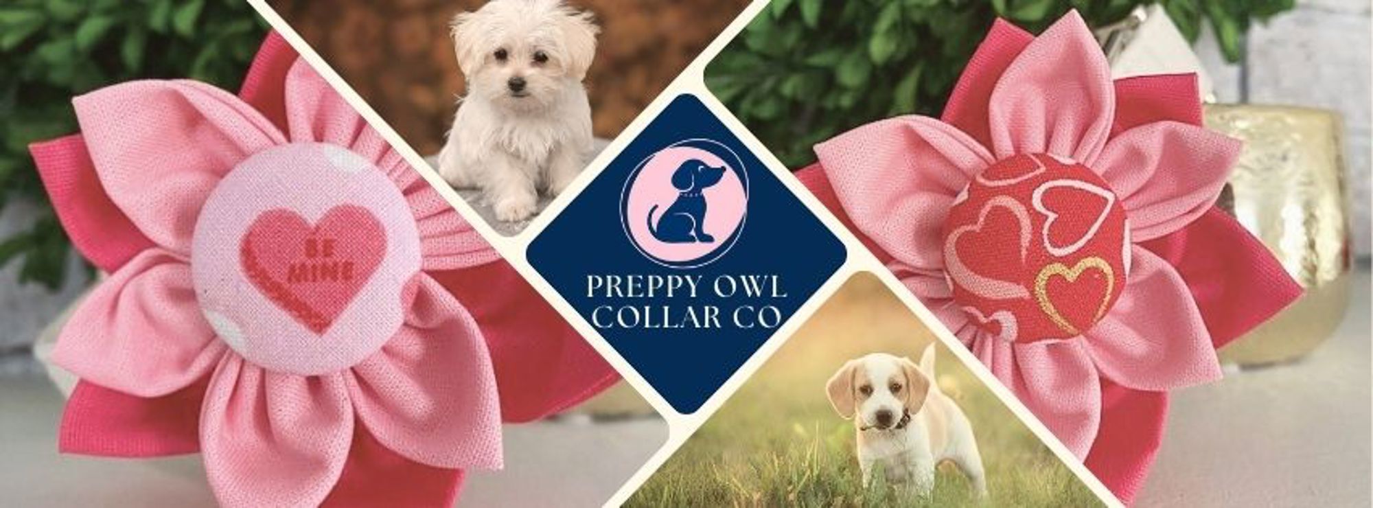 Preppy Owl Collar Co