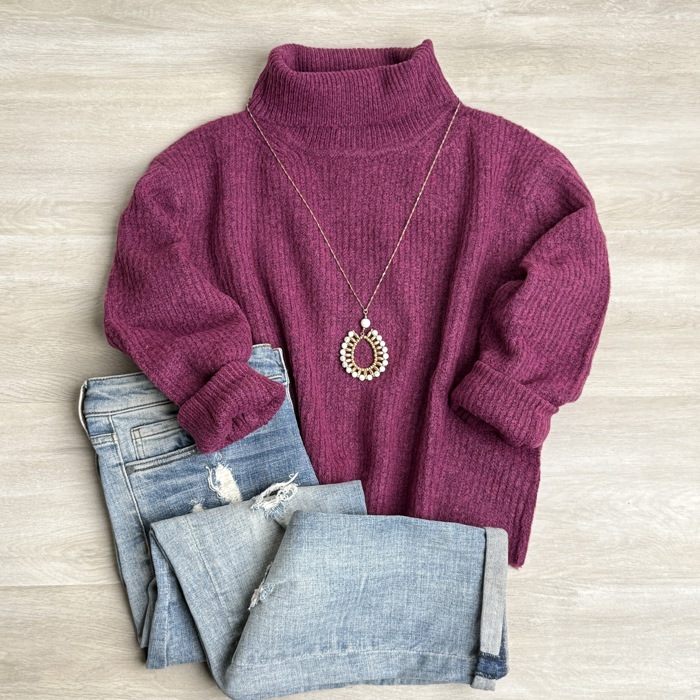 Claudia Turtle Neck Comfy Sweater