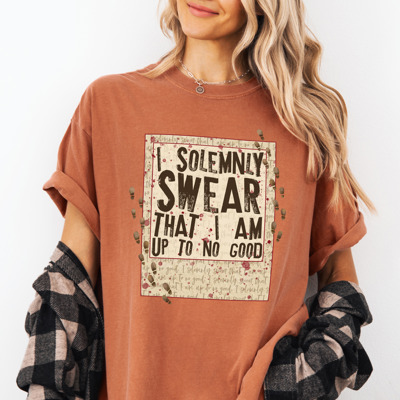 Wizard Inspired 'Up To No Good' Comfort Colors Tee