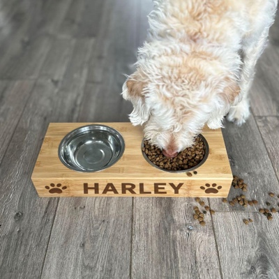 Personalized Dog and Cat Feeding Stands with Bowls - Choose from 2 Sizes and 4 Text Designs