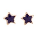  Purple Enamel Star Post Stud Earring Children's Gift Jewelry