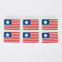 Flags Chunky Wood Refrigerator Magnets