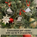 Raw Steel - can rust Personalized Pet Ornaments - Set of 2 - Custom Dog or Cat Christmas Tree Ornaments