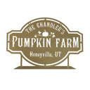 Hanging - 15 inch Pumpkin Farm Custom Name Sign – Personalized Fall Decor with Family Name – Farmhouse Autumn Sign for Porch, Mantel, or Entryway