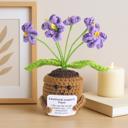  Crochet Flower Hug Pot – Emotional Support Potted Plant with Positive Message, Gift for Mom, Dad, or Teacher, Amigurumi Home Decor