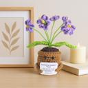  Crochet Flower Hug Pot – Emotional Support Potted Plant with Positive Message, Gift for Mom, Dad, or Teacher, Amigurumi Home Decor
