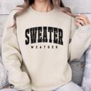  Sweater Weather Graphic Sweatshirt, Cozy Fall Pullover, Retro Autumn Top, Pumpkin Spice Season Outfit, Thanksgiving Shirt, Gift for Her
