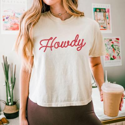 Howdy Crop Top by Comfort Colors, Western Shirt, Vintage Country Girl Aesthetic – Summer Rodeo Style, Y2K Cowgirl Crop Top, Country Concert Outfit, Bachelorette T Shirt, Gift for Her