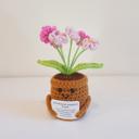  Crochet Flower Hug Pot – Emotional Support Potted Plant with Positive Message, Gift for Mom, Dad, or Teacher, Amigurumi Home Decor
