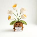  Crochet Flower Hug Pot – Emotional Support Potted Plant with Positive Message, Gift for Mom, Dad, or Teacher, Amigurumi Home Decor