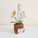 White Bloom Crochet Flower Hug Pot – Emotional Support Potted Plant with Positive Message, Gift for Mom, Dad, or Teacher, Amigurumi Home Decor