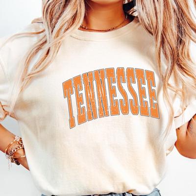Tennessee Comfort Colors Tee, Vintage Tennessee Distressed State Graphic Shirt, Retro Southern Outfit, Gift for Her