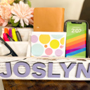  Personalized Rustic Organizer 