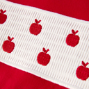  Boys Back to School Apple Smock Embroidered Plaid Set